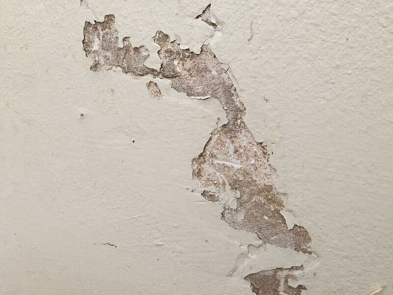 gesso acartonado patologia 2